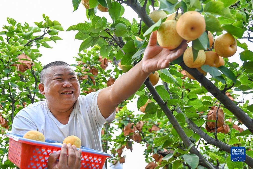 百老汇线上游戏